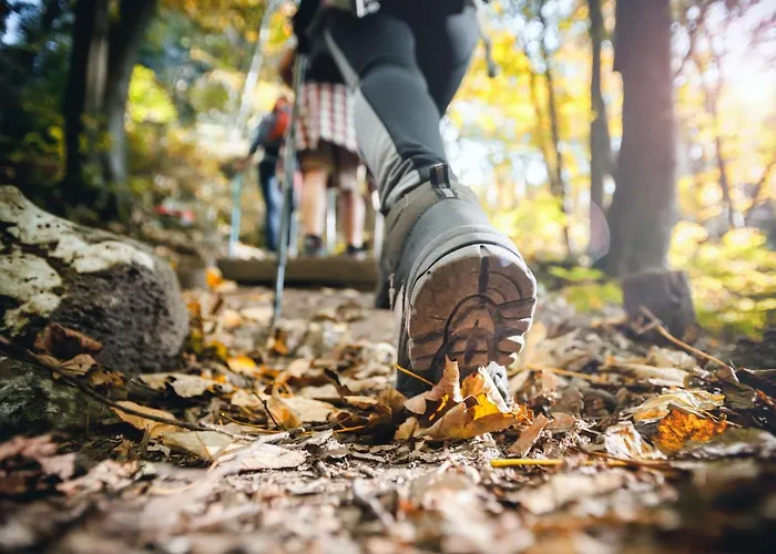 Weitblick 公寓式酒店