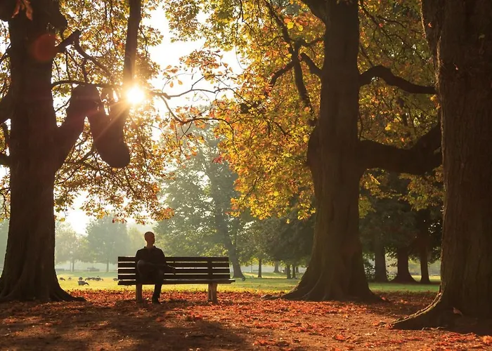 Weitblick 4* Winterberg